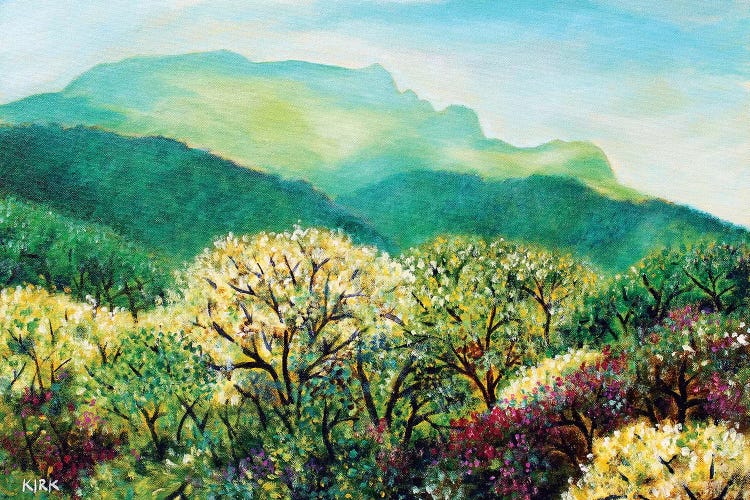 Summer On Grandfather Mountain by Jerry Lee Kirk wall art