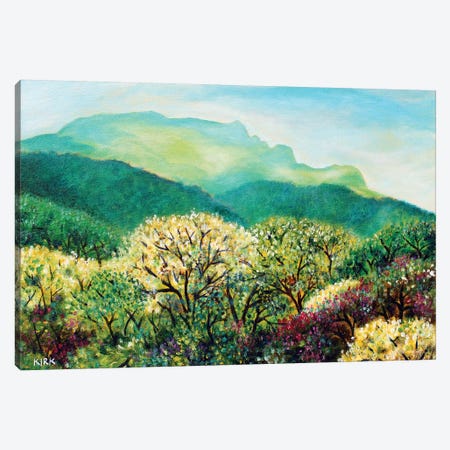 Summer On Grandfather Mountain Canvas Print #JLK60} by Jerry Lee Kirk Canvas Print