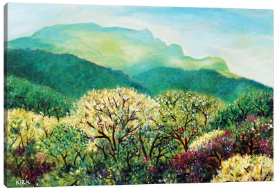 Summer On Grandfather Mountain Canvas Art Print - Hill & Hillside Art