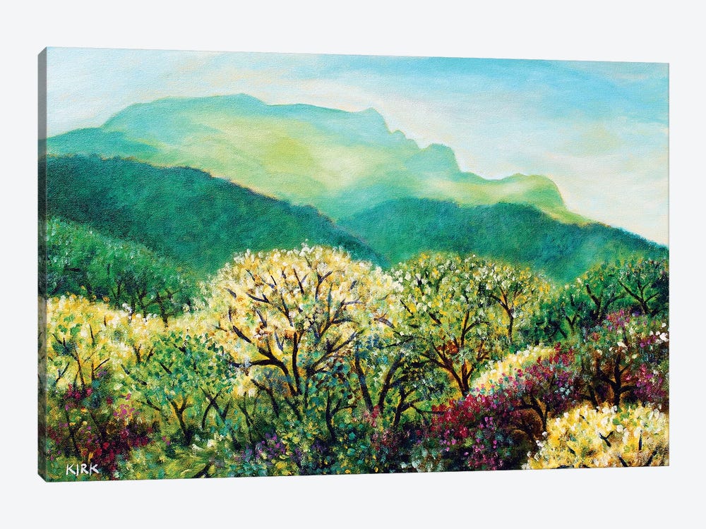 Summer On Grandfather Mountain by Jerry Lee Kirk 1-piece Canvas Art Print