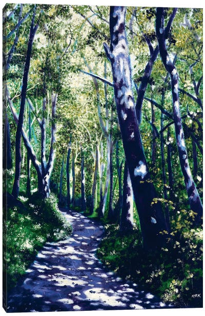 Summer Woods Canvas Art Print - Jerry Lee Kirk