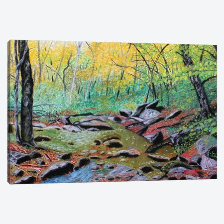 Along The Boone Fork Trail Canvas Print #JLK6} by Jerry Lee Kirk Art Print