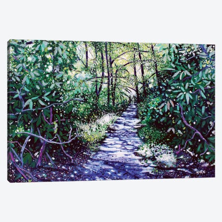The Glen Burney Trail Canvas Print #JLK70} by Jerry Lee Kirk Canvas Artwork