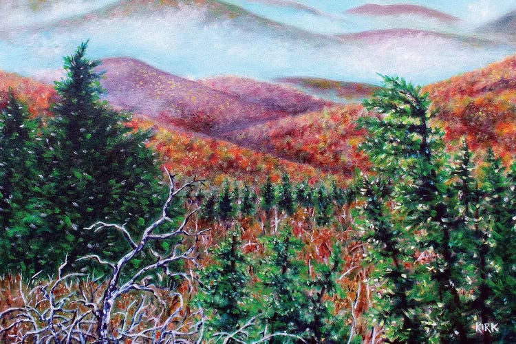 The View From Grandfather Mountain by Jerry Lee Kirk wall art