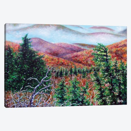 The View From Grandfather Mountain Canvas Print #JLK72} by Jerry Lee Kirk Canvas Wall Art