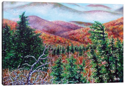 The View From Grandfather Mountain Canvas Art Print - Blue Ridge Mountain Art