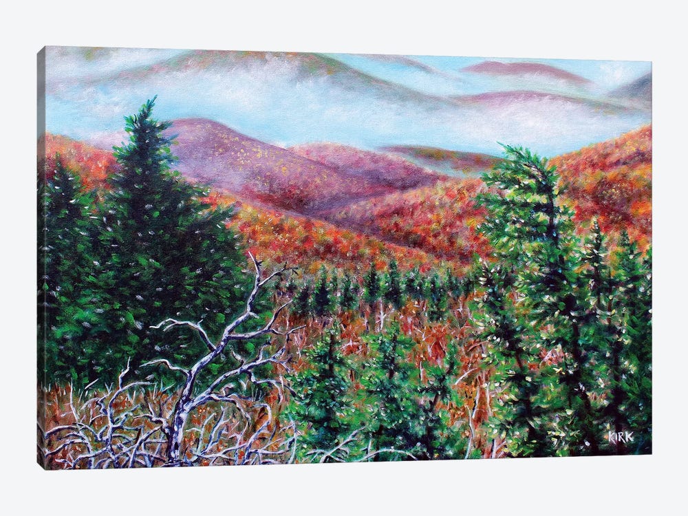 The View From Grandfather Mountain by Jerry Lee Kirk 1-piece Canvas Art