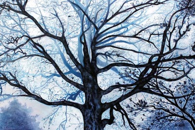 Tree In Fog by Jerry Lee Kirk canvas print