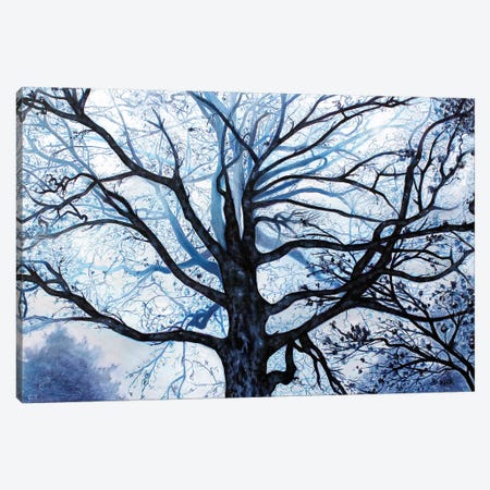 Tree In Fog Canvas Print #JLK79} by Jerry Lee Kirk Canvas Artwork