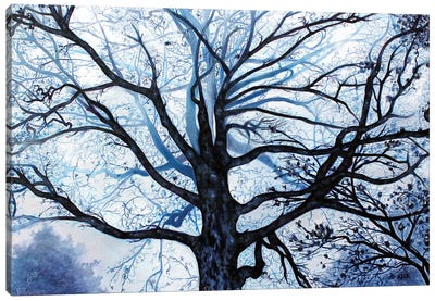 Tree In Fog Canvas Art Print - Jerry Lee Kirk