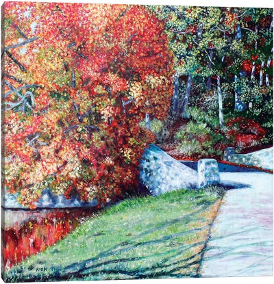 Autumn Blaze Canvas Art Print - Jerry Lee Kirk