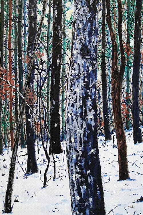 Woods In Snow