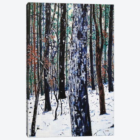 Woods In Snow Canvas Print #JLK86} by Jerry Lee Kirk Canvas Wall Art