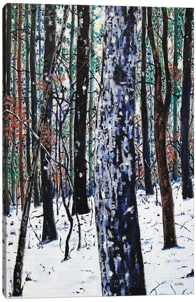 Woods In Snow Canvas Art Print - Jerry Lee Kirk