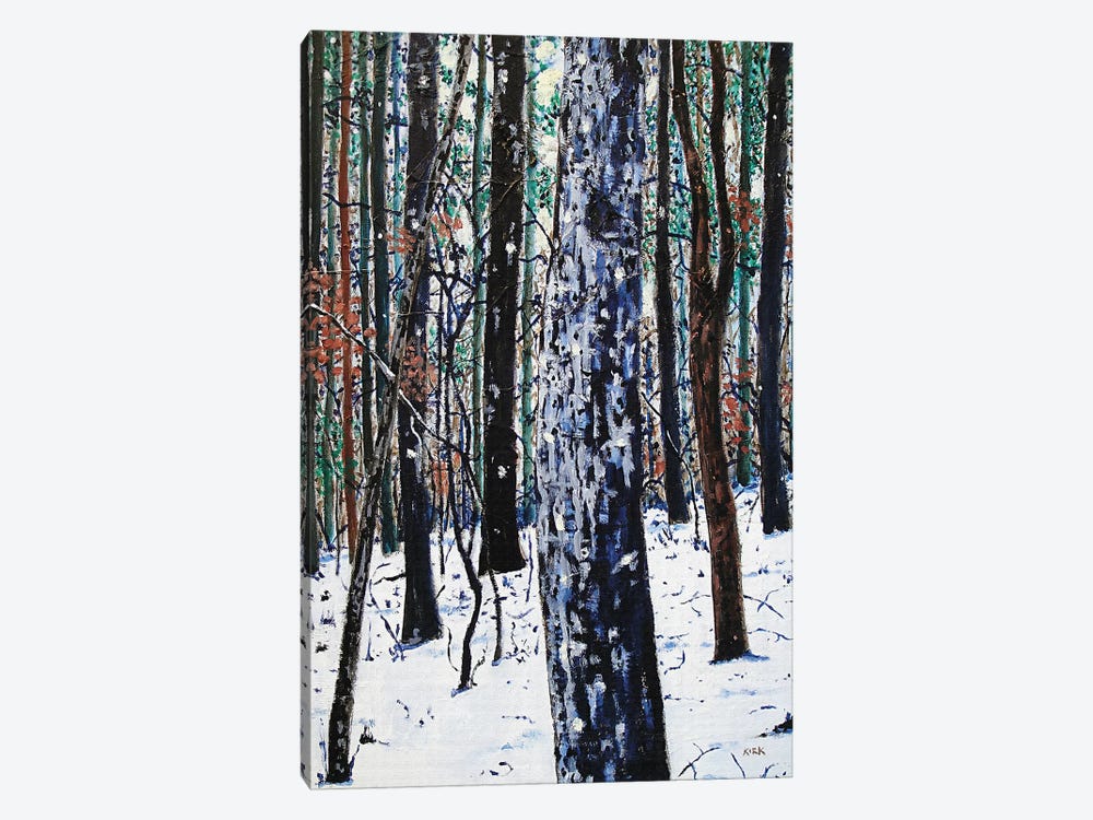 Woods In Snow by Jerry Lee Kirk 1-piece Canvas Print