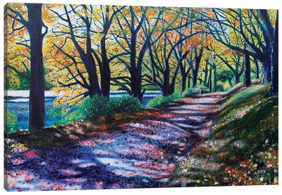 Autumn Canopy Canvas Art Print - Jerry Lee Kirk