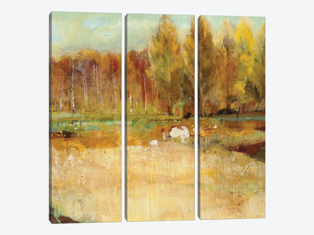 Field of Trees    by Jill Martin 3-piece Canvas Art Print