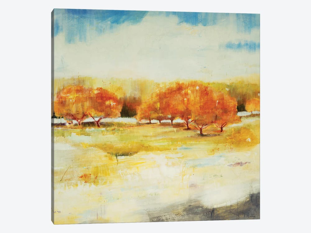 Old Orchard by Jill Martin 1-piece Canvas Artwork