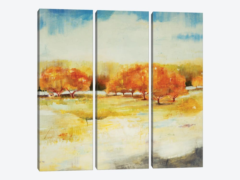 Old Orchard by Jill Martin 3-piece Canvas Wall Art