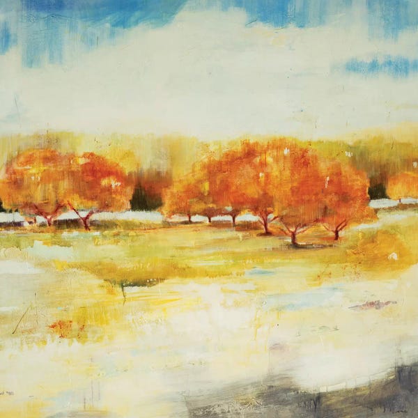 Abstract Landscapes: Old Orchard by Jill Martin