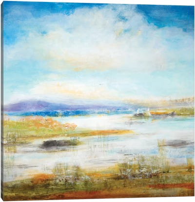 Wetlands Too Canvas Art Print - Jill Martin