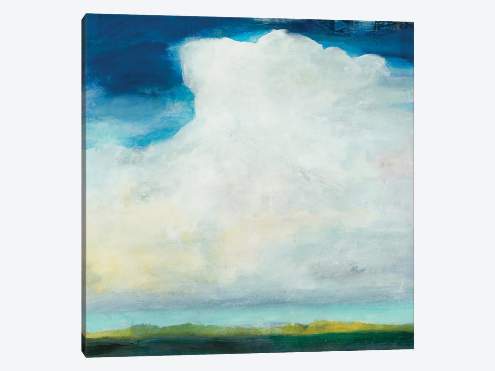 Thunderhead by Jill Martin 1-piece Canvas Art Print