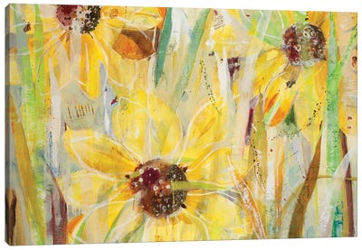 Finding Happiness Canvas Art Print - Sunflower Art