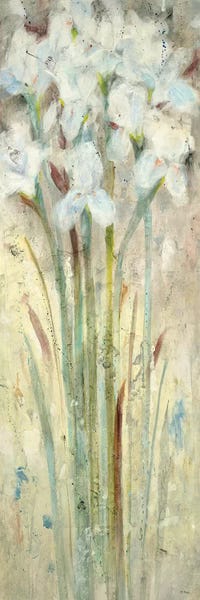Jill Martin: Gaze II by Jill Martin