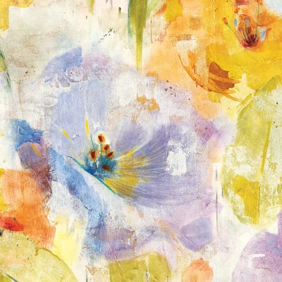 Calypso I by Jill Martin framed wall art