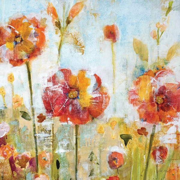 Poppies: Sunspots I by Jill Martin