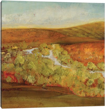 Autumn Saffron II    Canvas Art Print - Jill Martin