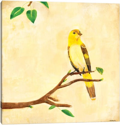 Bird Song I Canvas Art Print - Jill Martin