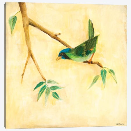 Bird Song III Canvas Print #JLL91} by Jill Martin Art Print