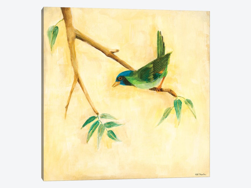 Bird Song III by Jill Martin 1-piece Canvas Art