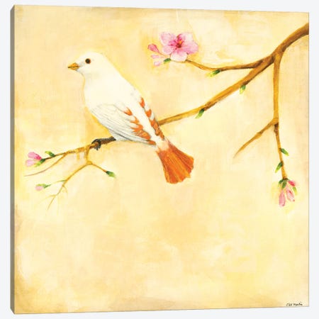 Bird Song IV Canvas Print #JLL92} by Jill Martin Art Print