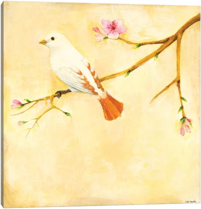 Bird Song IV Canvas Art Print - Jill Martin
