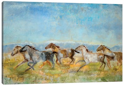 Excitement Canvas Art Print - Horse Art