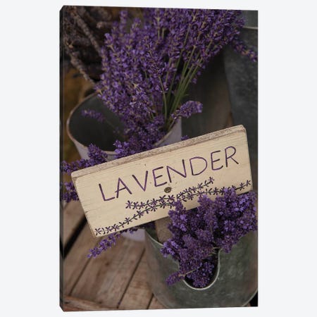 Dried Lavender For Sale, Sequim, Clallam County, Washington, USA Canvas Print #JLM3} by Merrill Images Canvas Wall Art