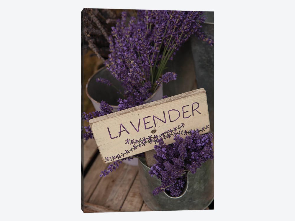 Dried Lavender For Sale, Sequim, Clallam County, Washington, USA by Merrill Images 1-piece Canvas Wall Art