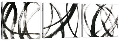 Linear Expression Triptych Canvas Art Print - Black & White Abstract Art