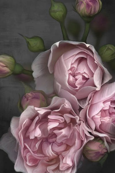 Pop Surrealism & Lowbrow: Pink Peony by Juliana Loomer