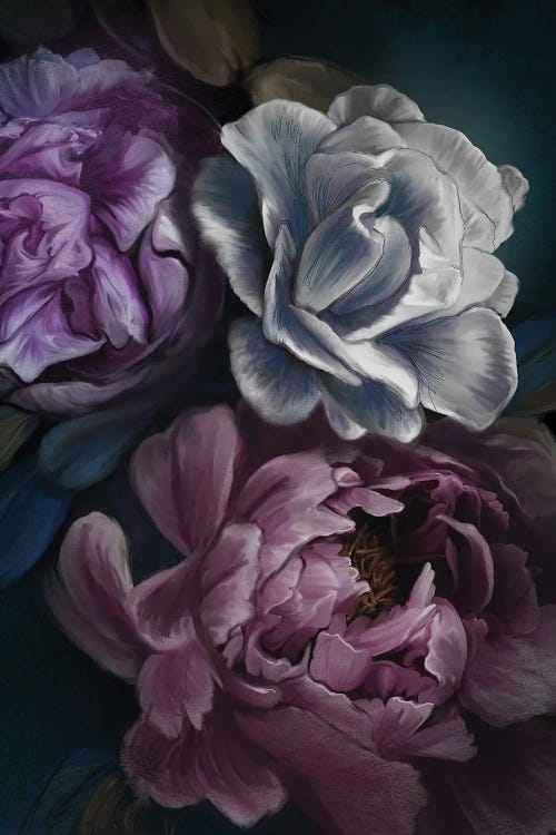 Purple Peony by Juliana Loomer wall art