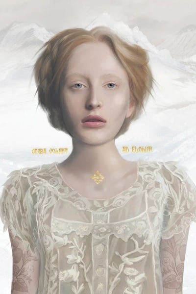 Arctic by Juliana Loomer framed canvas print