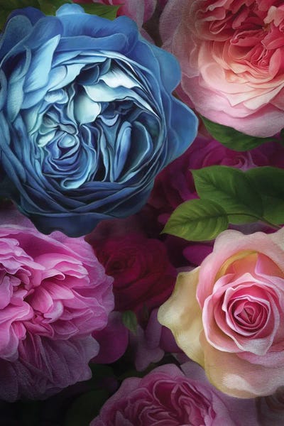 Avalon by Juliana Loomer canvas print