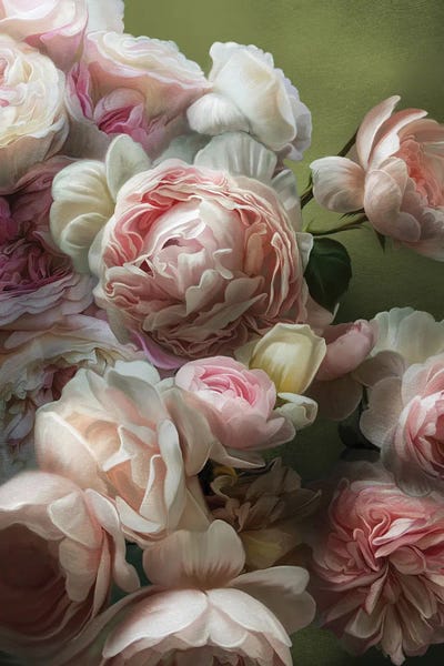 Blush by Juliana Loomer framed canvas print