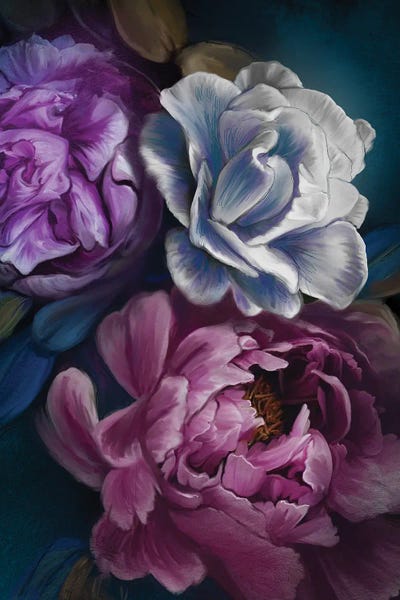 Floral Close-Ups: Dark Flowers by Juliana Loomer