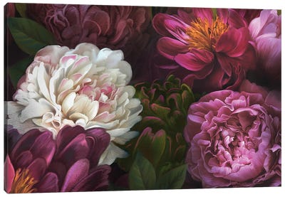 Garden Of Delight Canvas Art Print - Juliana Loomer
