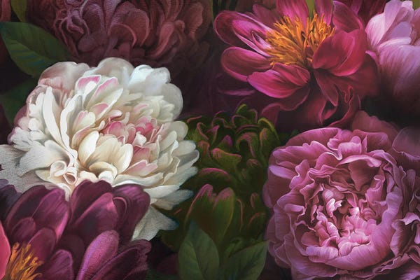 Floral Close-Ups: Garden Of Delight by Juliana Loomer