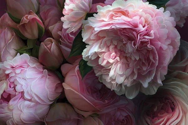 Floral Close-Ups: Renaissance by Juliana Loomer