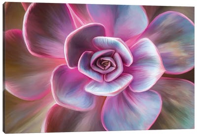 Pink Mandala Canvas Art Print - Juliana Loomer